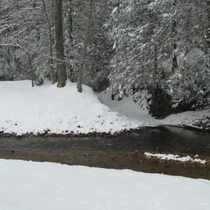 Meet your Posher, Travis-wendy